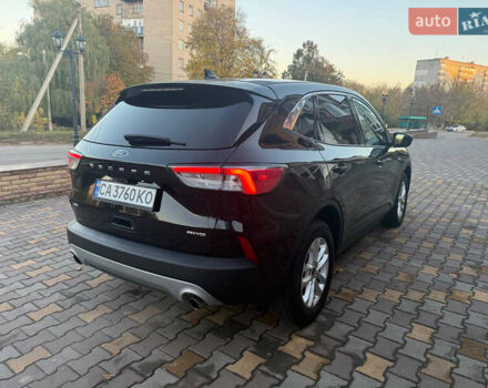 Форд Эскейп 2020 в Умани на Automoto.ua Черный Форд Эскейп, объемом двигателя 1.5 л и пробегом 138 тыс. км за 14300 $, фото 3 на Automoto.ua
