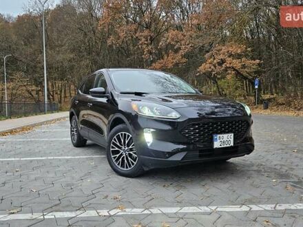 Форд Эскейп 2022 в Тернополе на Automoto.ua Черный Форд Эскейп, объемом двигателя 2.5 л и пробегом 52 тыс. км за 26450 $, фото 1 на Automoto.ua