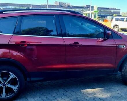 Красный Форд Эскейп, объемом двигателя 1.5 л и пробегом 40 тыс. км за 13100 $, фото 5 на Automoto.ua