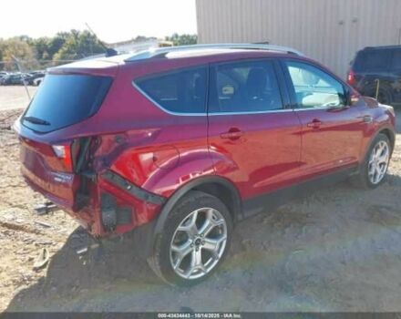 Красный Форд Эскейп, объемом двигателя 2 л и пробегом 52 тыс. км за 3000 $, фото 3 на Automoto.ua