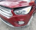Червоний Форд Ескейп, об'ємом двигуна 2 л та пробігом 103 тис. км за 12400 $, фото 7 на Automoto.ua