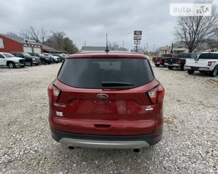 Красный Форд Эскейп, объемом двигателя 1.5 л и пробегом 88 тыс. км за 2950 $, фото 3 на Automoto.ua