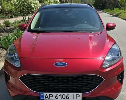 Червоний Форд Ескейп, об'ємом двигуна 1.5 л та пробігом 33 тис. км за 18000 $, фото 1 на Automoto.ua
