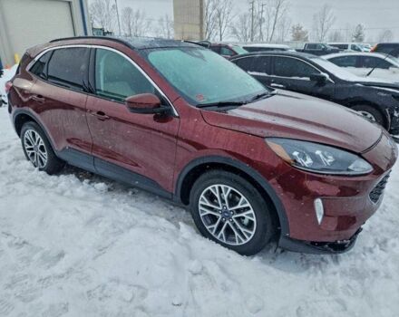 Красный Форд Эскейп, объемом двигателя 1.5 л и пробегом 33 тыс. км за 4500 $, фото 3 на Automoto.ua