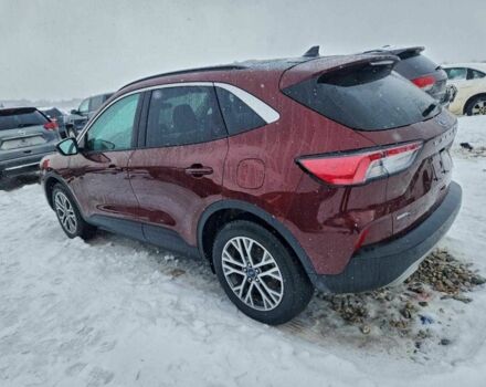 Красный Форд Эскейп, объемом двигателя 1.5 л и пробегом 33 тыс. км за 4500 $, фото 1 на Automoto.ua