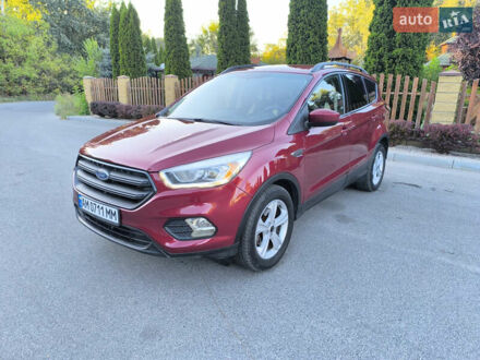 Красный Форд Эскейп, объемом двигателя 1.5 л и пробегом 118 тыс. км за 12599 $, фото 1 на Automoto.ua