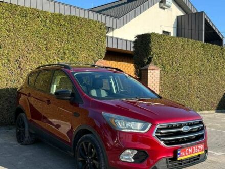 Красный Форд Эскейп, объемом двигателя 1.5 л и пробегом 190 тыс. км за 10999 $, фото 1 на Automoto.ua