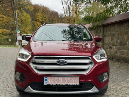Форд Ескейп 2017 у Чернівцях на Automoto.ua Червоний Форд Ескейп, об'ємом двигуна 1.5 л та пробігом 147 тис. км за 14000 $, фото 1 на Automoto.ua
