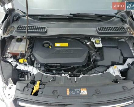 Форд Эскейп 2016 в Луцке на Automoto.ua Форд Эскейп, объемом двигателя 1.6 л и пробегом 127 тыс. км за 1500 $, фото 8 на Automoto.ua