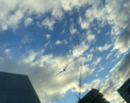 Форд Эскейп, объемом двигателя 2 л и пробегом 155 тыс. км за 15000 $, фото 32 на Automoto.ua