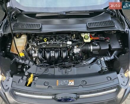 Форд Эскейп 2016 в Хмельницком на Automoto.ua Серый Форд Эскейп, объемом двигателя 2.5 л и пробегом 192 тыс. км за 9999 $, фото 54 на Automoto.ua