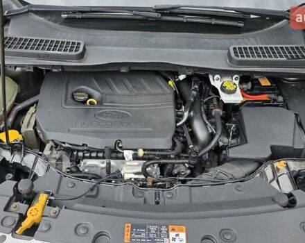 Сірий Форд Ескейп, об'ємом двигуна 1.5 л та пробігом 216 тис. км за 10500 $, фото 22 на Automoto.ua