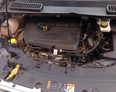 Серый Форд Эскейп, объемом двигателя 1.5 л и пробегом 50 тыс. км за 16700 $, фото 6 на Automoto.ua