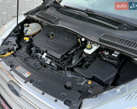 Серый Форд Эскейп, объемом двигателя 1.5 л и пробегом 176 тыс. км за 11999 $, фото 66 на Automoto.ua