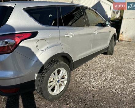 Форд Эскейп 2017 в Житомире на Automoto.ua Серый Форд Эскейп, объемом двигателя 2 л и пробегом 241 тыс. км за 10500 $, фото 5 на Automoto.ua