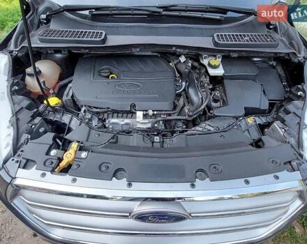 Форд Эскейп 2018 в Львове на Automoto.ua Серый Форд Эскейп, объемом двигателя 1.5 л и пробегом 179 тыс. км за 11400 $, фото 9 на Automoto.ua
