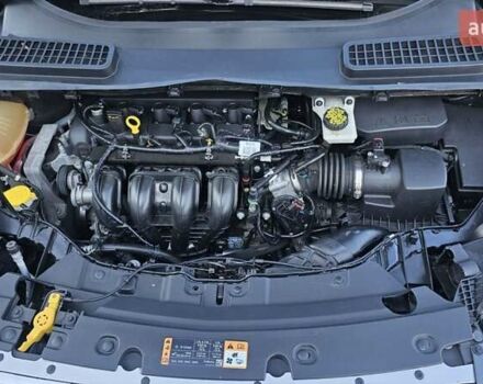 Форд Эскейп 2018 в Запорожье на Automoto.ua Серый Форд Эскейп, объемом двигателя 2.5 л и пробегом 82 тыс. км за 13100 $, фото 44 на Automoto.ua