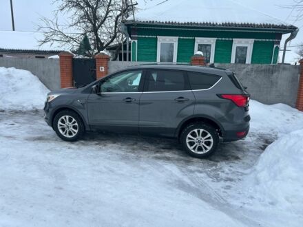 Серый Форд Эскейп, объемом двигателя 1.5 л и пробегом 31 тыс. км за 12800 $, фото 1 на Automoto.ua