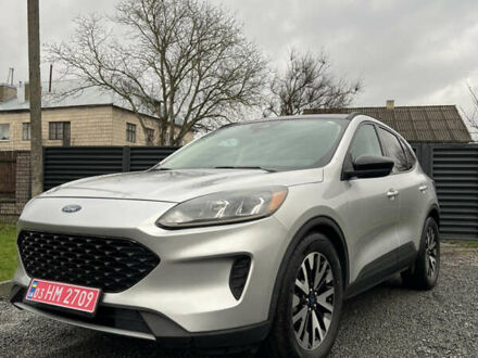 Серый Форд Эскейп, объемом двигателя 2.5 л и пробегом 62 тыс. км за 20300 $, фото 1 на Automoto.ua