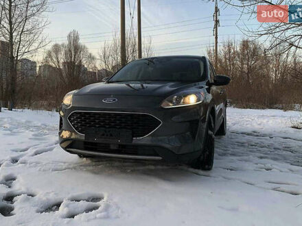 Форд Эскейп 2020 в Хмельницком на Automoto.ua Серый Форд Эскейп, объемом двигателя 1.5 л и пробегом 55 тыс. км за 18800 $, фото 1 на Automoto.ua