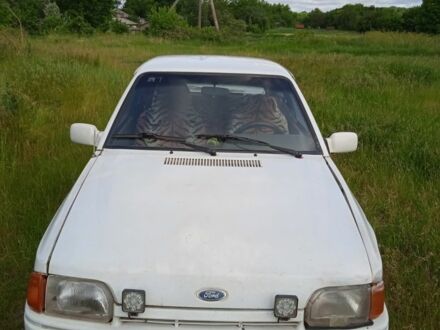 Форд Эскорт 1986 в Александрие на Automoto.ua Белый Форд Эскорт, объемом двигателя 0 л и пробегом 350 тыс. км за 600 $, фото 1 на Automoto.ua