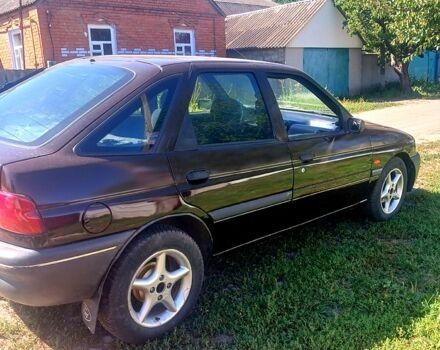 Коричневый Форд Эскорт, объемом двигателя 1.3 л и пробегом 0 тыс. км за 1550 $, фото 2 на Automoto.ua