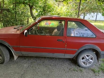 Форд Эскорт 1988 в Борщеве на Automoto.ua Красный Форд Эскорт, объемом двигателя 1.4 л и пробегом 7 тыс. км за 800 $, фото 1 на Automoto.ua