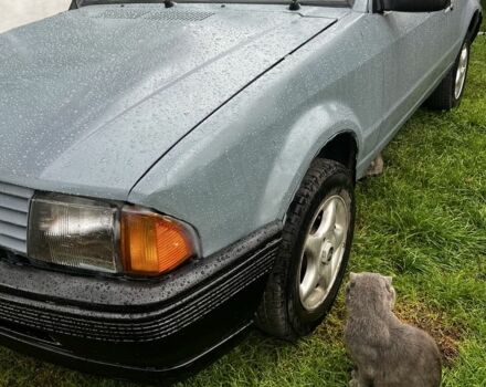 Серый Форд Эскорт, объемом двигателя 1.1 л и пробегом 3 тыс. км за 700 $, фото 1 на Automoto.ua