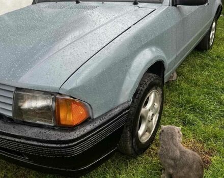 Серый Форд Эскорт, объемом двигателя 1.1 л и пробегом 360 тыс. км за 500 $, фото 1 на Automoto.ua