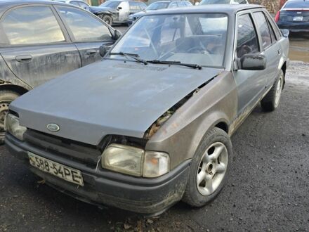 Серый Форд Эскорт, объемом двигателя 0 л и пробегом 42 тыс. км за 238 $, фото 1 на Automoto.ua