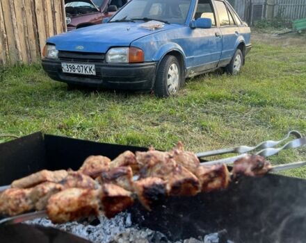 Синій Форд Ескорт, об'ємом двигуна 1.6 л та пробігом 250 тис. км за 0 $, фото 1 на Automoto.ua