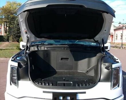 Білий Форд Ф-150, об'ємом двигуна 0 л та пробігом 9 тис. км за 48900 $, фото 32 на Automoto.ua