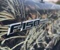 Бежевий Форд Ф-150, об'ємом двигуна 1 л та пробігом 190 тис. км за 17500 $, фото 7 на Automoto.ua