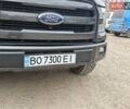 Сірий Форд Ф-150, об'ємом двигуна 3.5 л та пробігом 251 тис. км за 25600 $, фото 43 на Automoto.ua