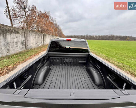 Серый Форд Ф-150, объемом двигателя 3.5 л и пробегом 129 тыс. км за 47777 $, фото 27 на Automoto.ua