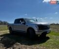 Серый Форд Ф-150, объемом двигателя 0 л и пробегом 57 тыс. км за 41000 $, фото 1 на Automoto.ua