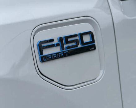 Сірий Форд Ф-150, об'ємом двигуна 0 л та пробігом 15 тис. км за 55555 $, фото 29 на Automoto.ua