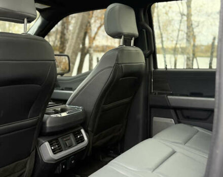 Сірий Форд Ф-150, об'ємом двигуна 0 л та пробігом 15 тис. км за 55555 $, фото 27 на Automoto.ua