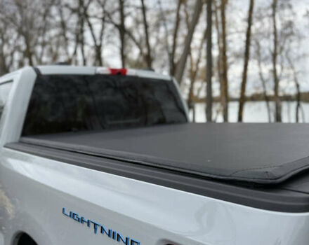 Сірий Форд Ф-150, об'ємом двигуна 0 л та пробігом 15 тис. км за 55555 $, фото 11 на Automoto.ua