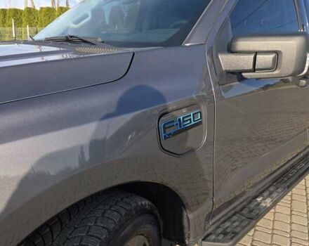 Серый Форд Ф-150, объемом двигателя 0 л и пробегом 9 тыс. км за 42000 $, фото 4 на Automoto.ua