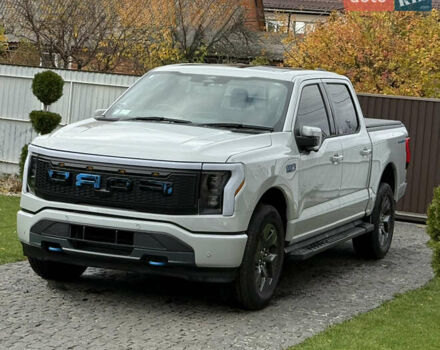 Сірий Форд Ф-150, об'ємом двигуна 0 л та пробігом 15 тис. км за 55555 $, фото 30 на Automoto.ua