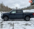 Синий Форд Ф-150, объемом двигателя 0 л и пробегом 7 тыс. км за 68500 $, фото 9 на Automoto.ua