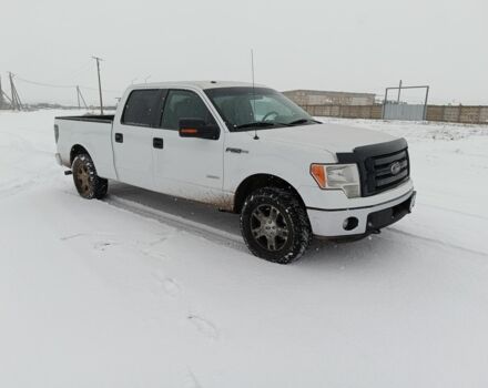 Белый Форд F-Series, объемом двигателя 0 л и пробегом 470 тыс. км за 14500 $, фото 1 на Automoto.ua