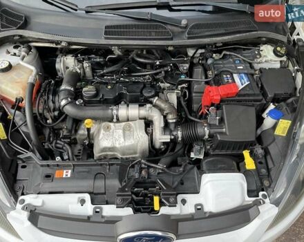 Форд Фиеста 2011 в Пустомытах на Automoto.ua Белый Форд Фиеста, объемом двигателя 1.4 л и пробегом 234 тыс. км за 5500 $, фото 43 на Automoto.ua