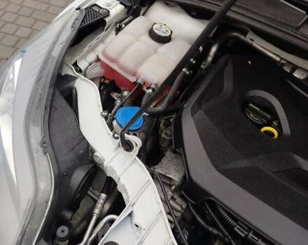 Білий Форд Фокус, об'ємом двигуна 1.6 л та пробігом 266 тис. км за 6999 $, фото 36 на Automoto.ua