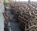Белый Форд Фокус, объемом двигателя 0 л и пробегом 81 тыс. км за 5900 $, фото 23 на Automoto.ua