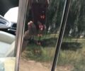 Білий Форд Фокус, об'ємом двигуна 2 л та пробігом 175 тис. км за 9900 $, фото 3 на Automoto.ua