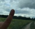Белый Форд Фокус, объемом двигателя 1.6 л и пробегом 127 тыс. км за 13300 $, фото 31 на Automoto.ua