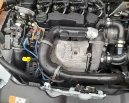 Белый Форд Фокус, объемом двигателя 1.56 л и пробегом 250 тыс. км за 6200 $, фото 11 на Automoto.ua