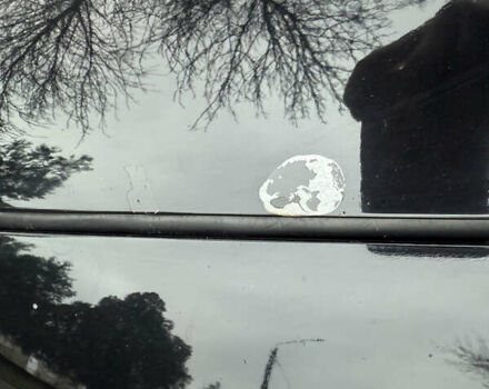 Черный Форд Фокус, объемом двигателя 2 л и пробегом 1 тыс. км за 10800 $, фото 4 на Automoto.ua